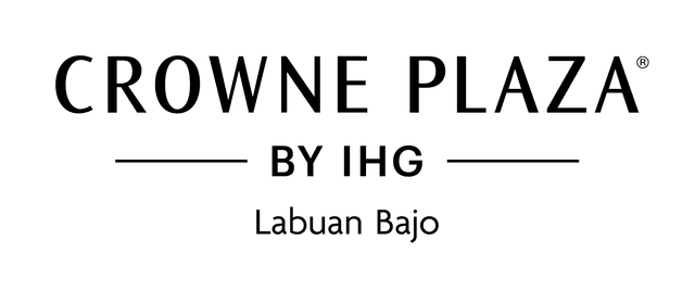 Payload Logo